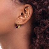 14k 6mm Round Garnet Leverback Earrings